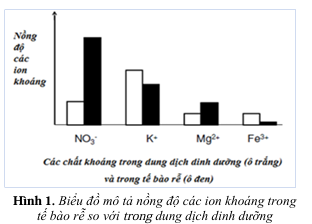 Nghiên cứu vai trò của các nguyên tố dinh dưỡng khoáng đối với sự phát triển của một loài cây thân thảo ở cạn, sau 20 ngày theo dõi thí nghiệm, từ số liệu thu được, người ta đã xây dựng được biểu đồ như hình 1. (ảnh 1)