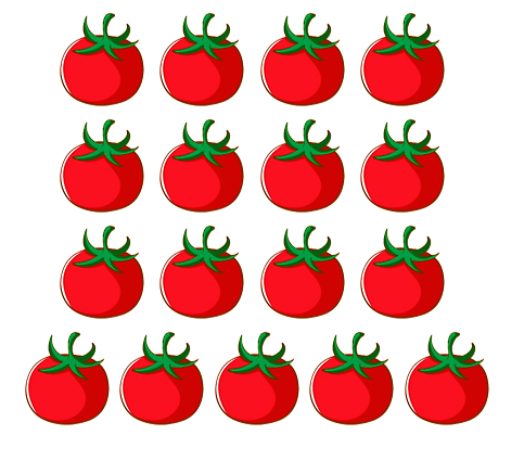 Hình nào có 15 quả cà chua?                                                              A.                             B.                                    C.                                 D.  (ảnh 1)