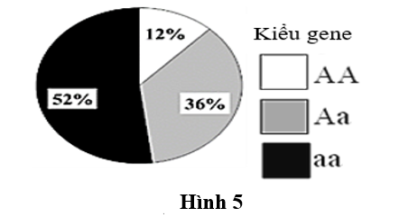 Ở một loài động vật, allele A quy định lông trắng trội hoàn toàn so với allele a quy định lông đen, gene  quy định màu lông nằm trên nhiễm sắc thể thường.  (ảnh 1)