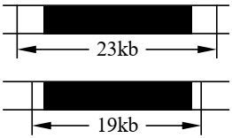 Bệnh phenylketon niệu là một bệnh di truyền đơn gene. Một loại enzyme cắt giới hạn có khả năng cắt các đoạn DNA tại vị trí của allele gây bệnh và allele bình thường  (ảnh 1)