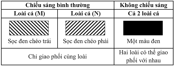 Ở hai loài cá cùng chi, các con cái có xu hướng chọn bạn tình dựa vào màu sắc của con đực ở thời kì sinh sản. Màu sắc trên lưng cá và hình thức sinh sản của hai loài cá (M và N) được mô tả như Bảng 4. (ảnh 1)
