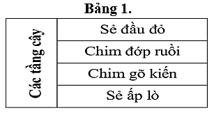Bảng 1 mô tả ổ sinh thái của các loài chim trên tán cây rừng lá rụng ôn đới. Xét các phát biểu dưới đây, phát biểu nào Sai? (ảnh 1)