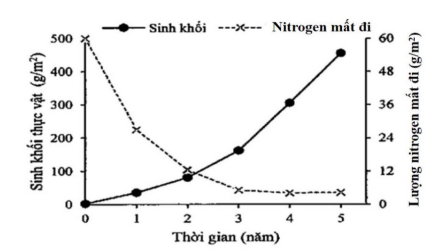 Hệ sinh thái rừng có vai trò quan trọng đối với các loài sinh vật và con người, nhưng rừng tự nhiên đang bị suy giảm ở nhiều nơi trên thế giới.  (ảnh 1)