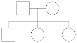 Một người chồng bệnh A kết hôn với người vợ bình thường. Họ sinh được ba người con. Tất cả con trai đều bình thường. Biết rằng gene bệnh là gene lặn trên nhiễm sắc thể thường. Phả hệ nào sau đây là đúng? (ảnh 3)