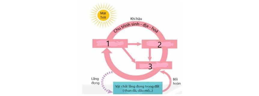 Chu trình bên thể hiện sự tuần hoàn vật chất trong tự nhiên đi qua các nhóm sinh vật của hệ sinh thái. Trong chu trình, vị trí số mấy là sinh vật tiêu thụ? (ảnh 1)