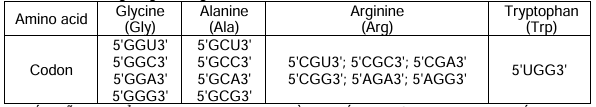 Allele B xảy ra đột biến điểm tại cùng 1 triplet (bộ ba trên mạch khuôn của gene) tạo thành các allele B1, B2, B3. (ảnh 1)
