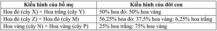 Ở một loài thực vật, để xác định quy luật di truyền của tính trạng màu hoa người ta đã tiến hành 3 phép lai, thu được kết quả như sau: (ảnh 1)