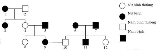 Sơ đồ phả hệ bên mô tả sự di truyền một bệnh ở người, bệnh do một gene  có 2 allele quy định. Theo lí thuyết, có bao nhiêu phát biểu sau đây đúng? (ảnh 1)
