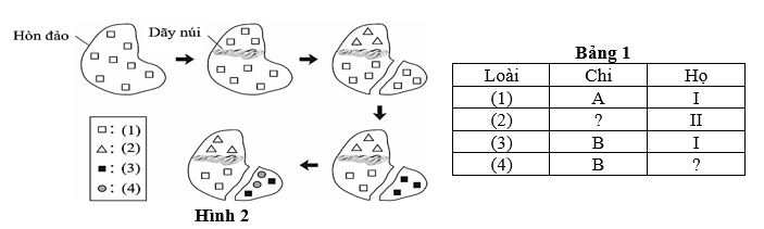 ) Hình 2 minh họa quá trình phân hoá loài của các loài (1), (2), (3) và (4). Bảng 1 cho biết chi và họ của từng loài. (ảnh 1)