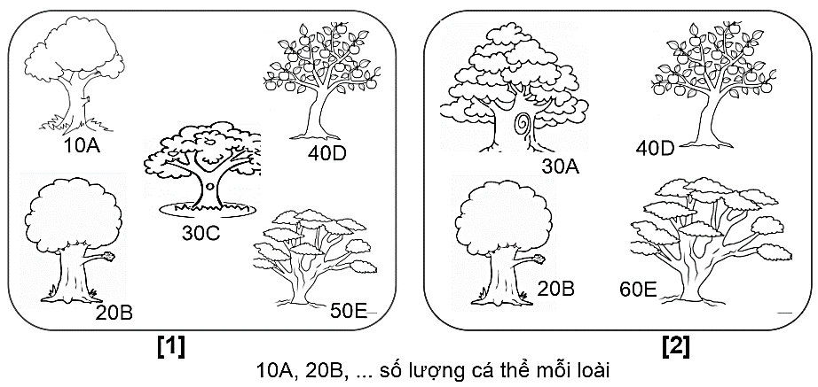 Hình minh hoạ một quần xã sinh vật, các kí hiệu 10A, 20B,... là số lượng cá thể  mỗi loài A, B, ...; loài B là loài ưu thế trong quần xã này. (ảnh 1)
