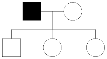 Một người chồng bệnh A kết hôn với người vợ bình thường. Họ sinh được ba người con. Tất cả con trai đều bình thường. Biết rằng gene bệnh là gene lặn trên nhiễm sắc thể thường. Phả hệ nào sau đây là đúng? (ảnh 4)