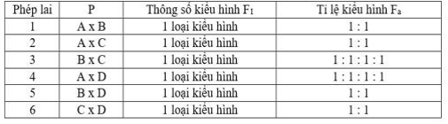 Ở một loài thực vật, xét 2 gene phân li độc lập, mỗi gene quy định một tính trạng và đều có 2 allele trội lặn hoàn toàn. Thực hiện các phép lai giữa các cây có kiểu hình khác nhau được kí hiệu là A, B, C, D (ảnh 1)
