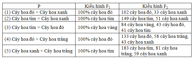 Loài hoa Salpiglossis sinuata có nhiều màu sắc khác nhau. Cho biết allele A1 quy định hoa đỏ, allele A2 quy định hoa tím, allele a quy định hoa xanh; sự có mặt của A1 và A2 trong kiểu gene  cho màu vàng.  (ảnh 1)