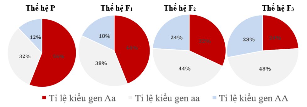 Ở một quần thể thực vật, màu sắc hoa đỏ 1 gene  có 2 allele A và a nằm trên nhiễm sắc thể thường quy định.  (ảnh 1)