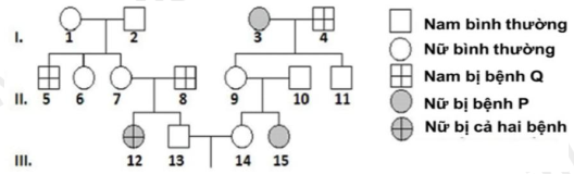 Sơ đồ phả hệ dưới đây mô tả hai bệnh di truyền ở người, trong đó có một trong hai bệnh do gene  nằm trên vùng không tương đồng của NST giới tính X  (ảnh 1)