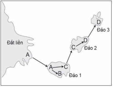 Hình bên mô tả các đảo đại dương xuất hiện gần như cùng một thời điểm. Các chữ cái A, B, C, D là tên các loài được hình thành bằng con đường cách li địa lí; (ảnh 1)