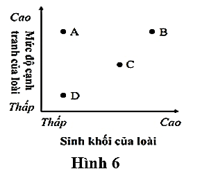 Hình 6 mô tả mối quan hệ về sinh khối và mức độ cạnh tranh của bốn loài khác nhau trong một quần xã sinh vật.  (ảnh 1)