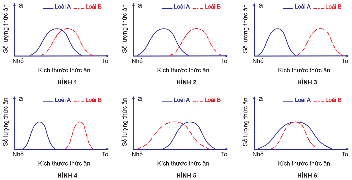 Mô tả ổ sinh thái về kích thước thức ăn của 2 loài A và B được thể hiện ở 6 hình sau đây:    	Có bao nhiêu hình thể hiện loài A và loài B có cạnh tranh nhau về thức ăn? (ảnh 1)