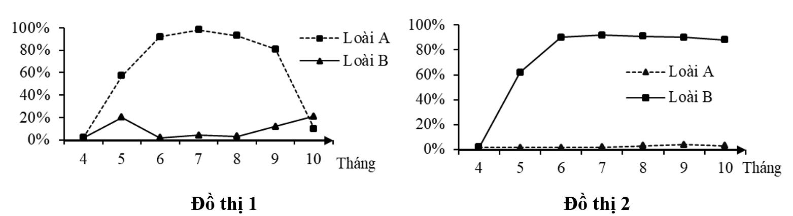 Hai loài động vật không xương sống A và B cùng sinh sống ở vực nước biển ôn đới, chúng có giai đoạn trưởng thành sống cố định, ăn các mảnh vụn hữu cơ. (ảnh 1)