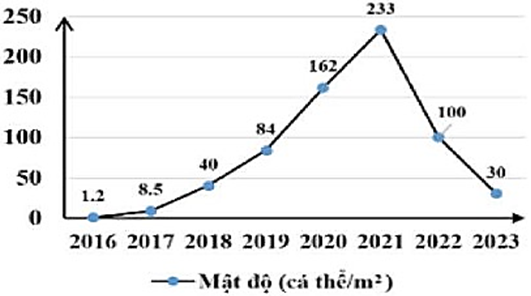 Đồ thị Hình 1 cho thấy sự thay đổi mật độ cá thể ở 1 quần thể động vật không xương sống sinh sống cố định (quần thể P) từ năm 2016 đến năm 2023. (ảnh 1)