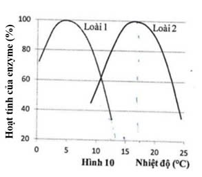 : Hai loài cá hồi (Salmonidae) sinh sống trong các suối ở một vùng núi. Kết quả nghiên cứu hoạt tính của một loại enzyme ở hai loài dưới tác động của nhiệt độ được trình bày ở hình bên.  (ảnh 1)