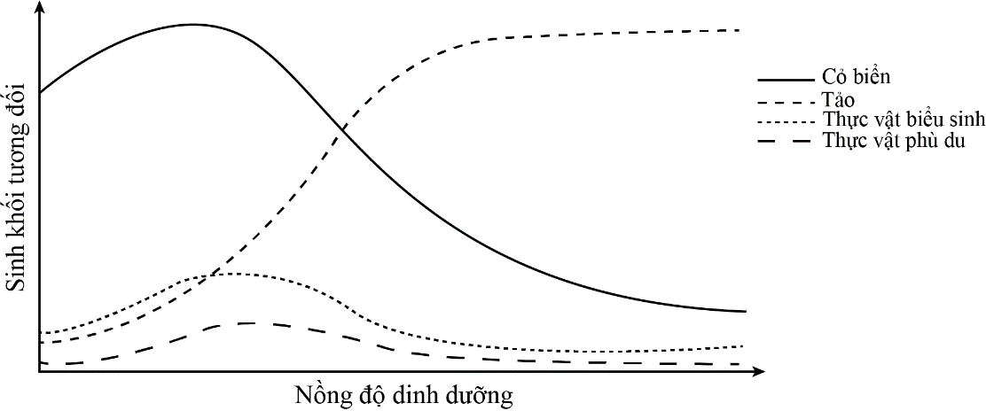 Phú dưỡng là hiện tượng môi trường nước có nhiều chất dinh dưỡng như nitrate và phosphate dẫn đến sự sinh trưởng mạnh mẽ của tảo (Arthrospira platensis). Tảo sinh trưởng nhanh làm giảm hàm lượng O2 trong nước gây chết cho nhiều loài thực vật thủy sinh .  (ảnh 1)