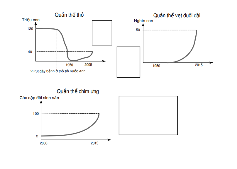 Nỗ lực bảo tồn bền bỉ của thế giới đã khôi phục các quần thể loài bản địa của nước Anh. Tuy nhiên, một số loài ngoại lai cũng phát triển mạnh như:  (ảnh 1)