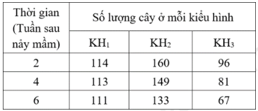 Ở 1 loài cây họ Đậu sống 1 năm, xét 1 gene  có 2 allele LX và LV quy định tổng hợp sắc tố ở lá. Cây có kiểu gene  LXLX, LXLV và LVLV có màu lá trưởng thành lần lượt là xanh (KH1), xanh – vàng (KH₂) (ảnh 1)