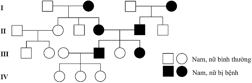 Hình 4 là phả hệ nghiên cứu về một bệnh di truyền ở người.   Hình 4 Hãy cho biết điều nào dưới đây có thể giải thích đúng cơ sở di truyền của bệnh trên phả hệ?  (ảnh 1)