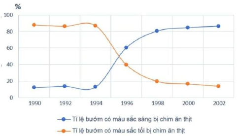 Khi theo dõi ảnh hưởng của ô nhiễm môi trường trong cánh rừng (do khói đen từ khu công nghiệp) đối với sự hình thành đặc điểm thích nghi (màu sắc thân) của một loài bướm.  (ảnh 1)