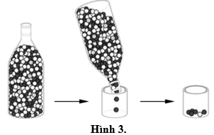Hình 3 mô tả hiệu ứng cổ chai, đây là hiện tượng số lượng cá thể của quần thể giảm đột ngột bởi các yếu tố như thiên tai; nạn săn bắt, khai thác quá mức...(ngẫu nhiên). (ảnh 1)