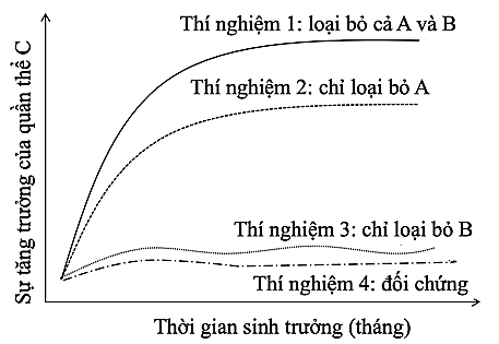 Khi nghiên cứu sự ảnh hưởng của loài A và B đến sự sinh trưởng và phát triển của loài C, người ta thực hiện các thí nghiệm và vẽ được đồ thị như hình 4. Theo lí thuyết, phát biểu nào sau đây đúng? (ảnh 1)