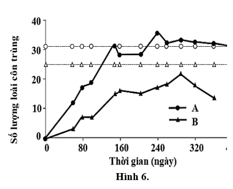 Một quần đảo gồm nhiều đảo lớn nhỏ bao quanh ven biển đông nam nước Mĩ. Người ta tiến hành thí nghiệm phun thuốc trừ sâu với lượng lớn lên hai đảo A và B (tách biệt hoàn toàn nhau và với đất liền)  (ảnh 1)