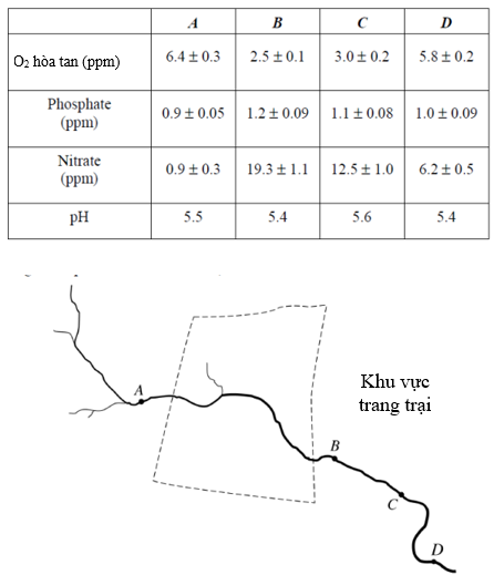 Một nhóm học sinh đã kiểm tra chất lượng nước của một con suối. Các em lo ngại về khả năng ô nhiễm nguồn nước này, do con suối chảy qua một trang trại nuôi lợn.  (ảnh 1)
