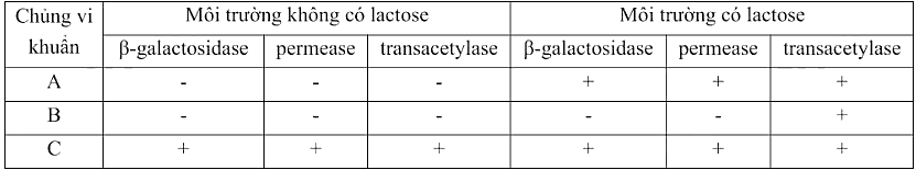 Ở vi khuẩn E.coli kiểu dại (bình thường), sự biểu hiện của gene lac Z (mã hóa ß- galactosidase), gene lac Y (mã hóa permease), gene lac A (mã hóa transacetylase) thuộc operon lac (ảnh 1)