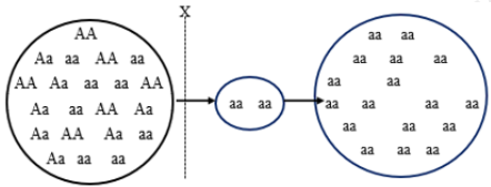 Hình 8 mô tả một nhân tố tiến hóa X tác động vào quần thể theo thời gian. Hãy viết liền số thứ tự các phát biểu đúng từ bé đến lớn khi nói về nhân tố tiến hóa P? (ảnh 1)