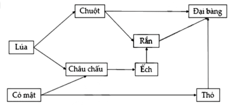 Giả sử lưới thức ăn trong 1 hệ sinh thái được mô tả ở hình bên. Theo lí thuyết, các phát biểu sau đây đúng hay sai về lưới thức ăn này? (ảnh 1)