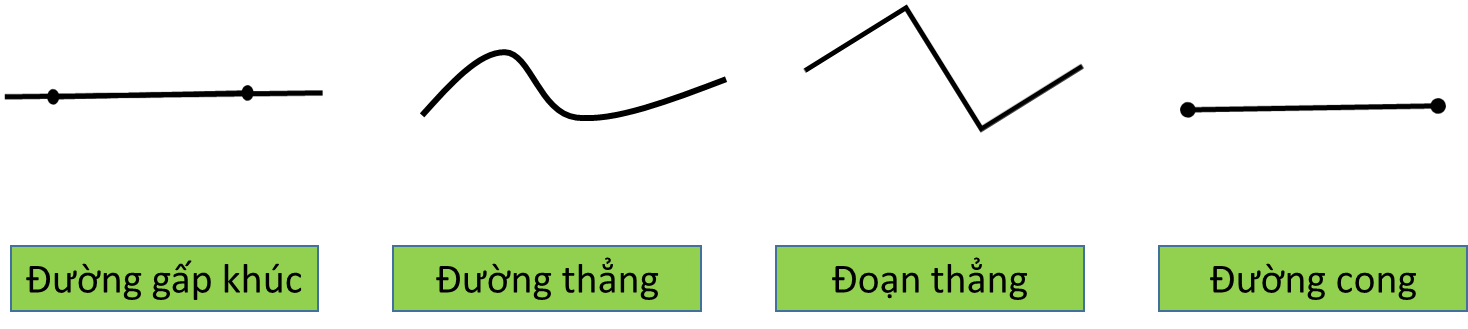 Nối mỗi hình với tên gọi thích hợp: (ảnh 1)