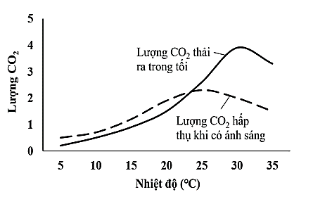 Một học sinh nghiên cứu về ảnh hưởng của nhiệt độ và cường độ ánh sáng tới sự trao đổi khí CO2 ở thực vật trong nhà kính.  (ảnh 1)