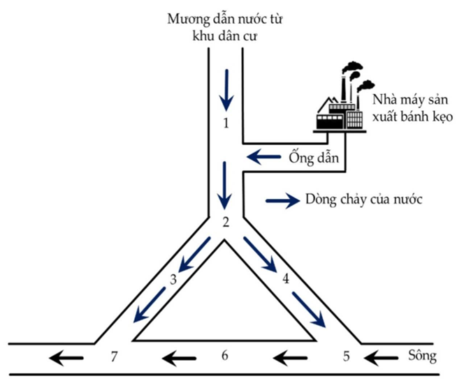 Một nhà máy sản xuất bánh kẹo đã thải nước thải ra sông bằng ống dẫn theo sơ đồ ở hình sau: (ảnh 1)