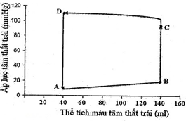 Một sinh viên khỏe mạnh bình thường có dung lượng tim lúc nghỉ ngơi là 6500ml/phút. Mối quan hệ giữa áp lực và thể tích máu ở tâm thất trái lúc nghỉ ngơi của sinh viên này được thể hiện ở hình dưới đây: (ảnh 1)