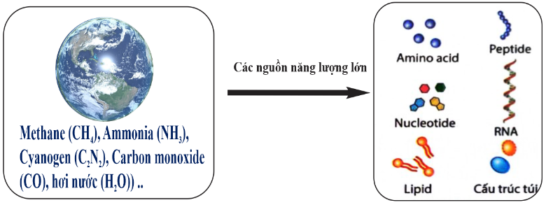 Hình dưới đây mô tả giai đoạn nào của quá trình phát sinh sự sống trên trái đất? A. Tiến hóa hóa học. B. Tiến hóa tiền sinh học. C. Tiến hóa sinh học. D. Tiến hóa hậu sinh học. (ảnh 1)