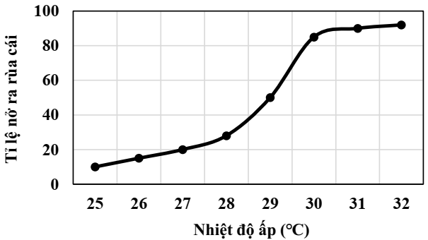 Đồ thị Hình 5 mô tả ảnh hưởng của nhiệt độ ấp đến tỉ lệ nở ra con cái của rùa biển (ảnh 1)