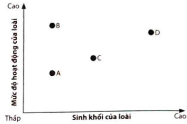 Một hệ sinh thái rừng ngập mặn có có bốn loài tiêu biểu kí hiệu là A, B, C, D. Mức độ hoạt động và sinh khối của các loài này được minh hoa như biểu đồ Hình 15.7. Theo lí thuyết, nhận định nào sau đây là đúng? (ảnh 1)