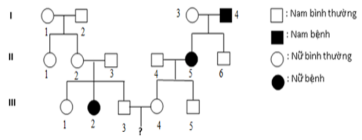 Cho sơ đồ phả hệ sau:   Sơ đồ phả hệ trên mô tả sự di truyền một bệnh ở người do một trong hai allele của một locus gene quy định.  (ảnh 1)