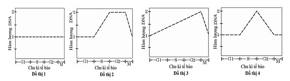 Các đồ thị từ 1 đến 4 dưới đây phản ánh về sự biến đổi hàm lượng DNA trong nhân của một tế bào trong quá trình phân bào. (ảnh 1)