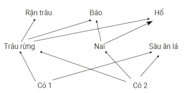 Giả sử lưới thức ăn trong 1 hệ sinh thái được mô tả ở hình bên. Nếu trâu rừng bị loại bỏ hoàn toàn khỏi hệ sinh thái này thì theo lí thuyết, các phát biểu sau là đúng hay sai? (ảnh 1)