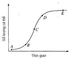 Đồ thị sau đây mô tả sự tăng trưởng của một quần thể sinh vật theo thời gian.                                                    Thời điểm đánh dấu trên đồ thị thể hiện tỉ lệ sinh bằng tỉ lệ tử vong là: (ảnh 1)