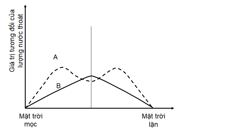 Sự hình  biểu diễn quá trình thoát hơi nước của một cây C3 trong một ngày nắng ráo. Các đường cong A, B chỉ các con đường thoát hơi nước qua lá. Nhận định nào sau đây đúng? (ảnh 1)