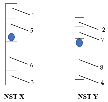 Cho các trường hợp sau, biết rằng cá thể XY đang xét có kiểu gen đồng hợp. Cho các trường hợp sau: (a) Sự tiếp hợp, trao đổi chéo không cân giữa 2 vùng (1) và (2). (b) Đột biến chuyển đoạn tương hỗ giữa 2 vùng (5) và (7). (ảnh 1)